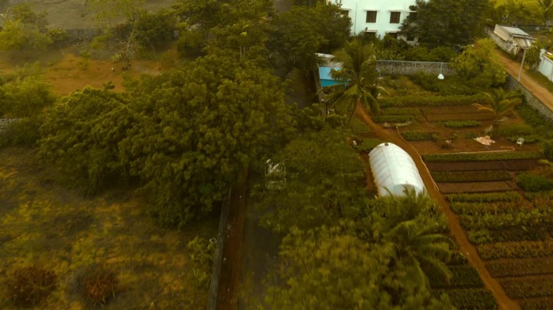 Vendhu Thanindhathu Kaadu