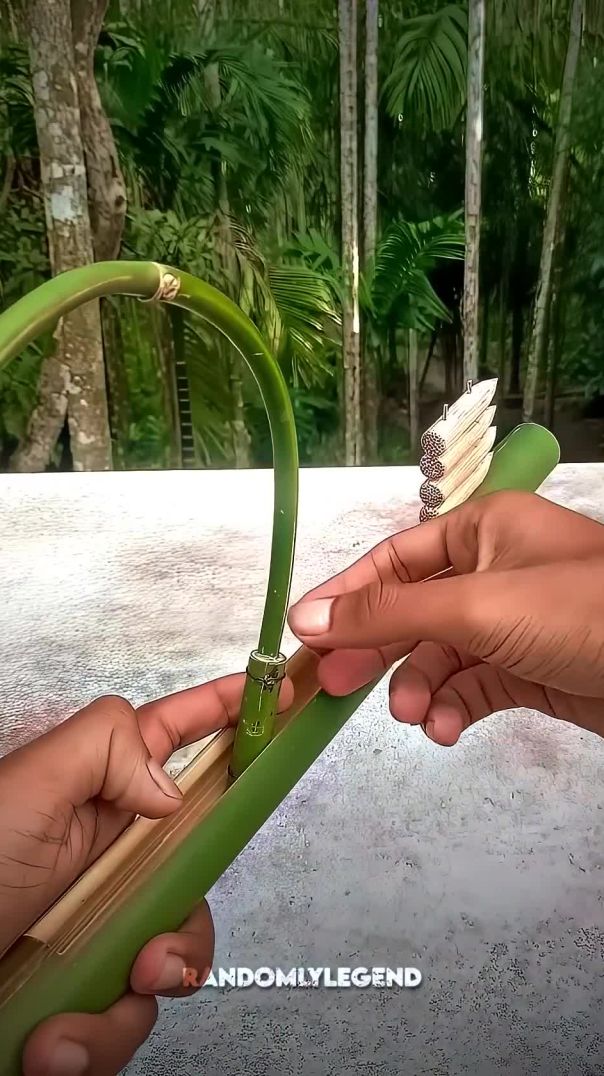 The Power of Bamboo #edit #coldestmoment