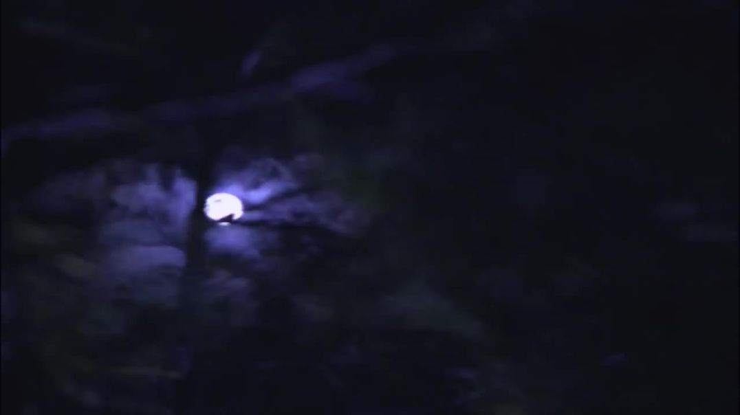 (शापित) Shaapit - Aahat New Episode _ Horror Show 2025 _ Aahat New Episode 2_HD