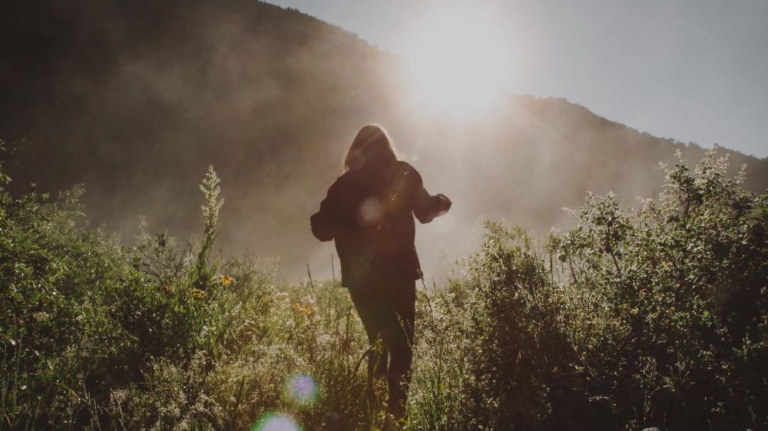 Whitewildbear __ All Alone