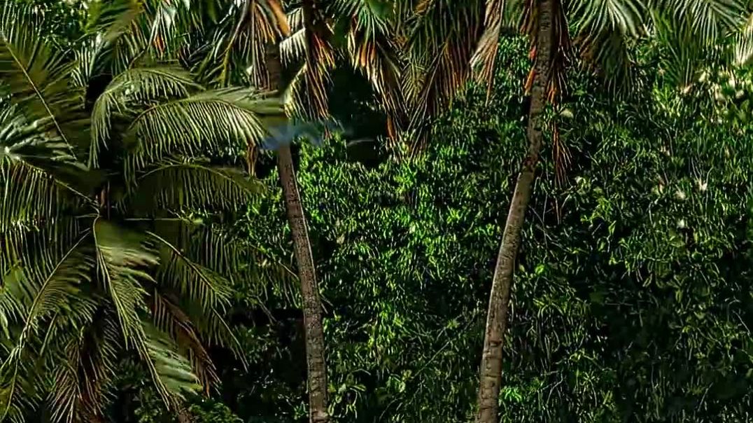 _andrast(1080P_60FPS)