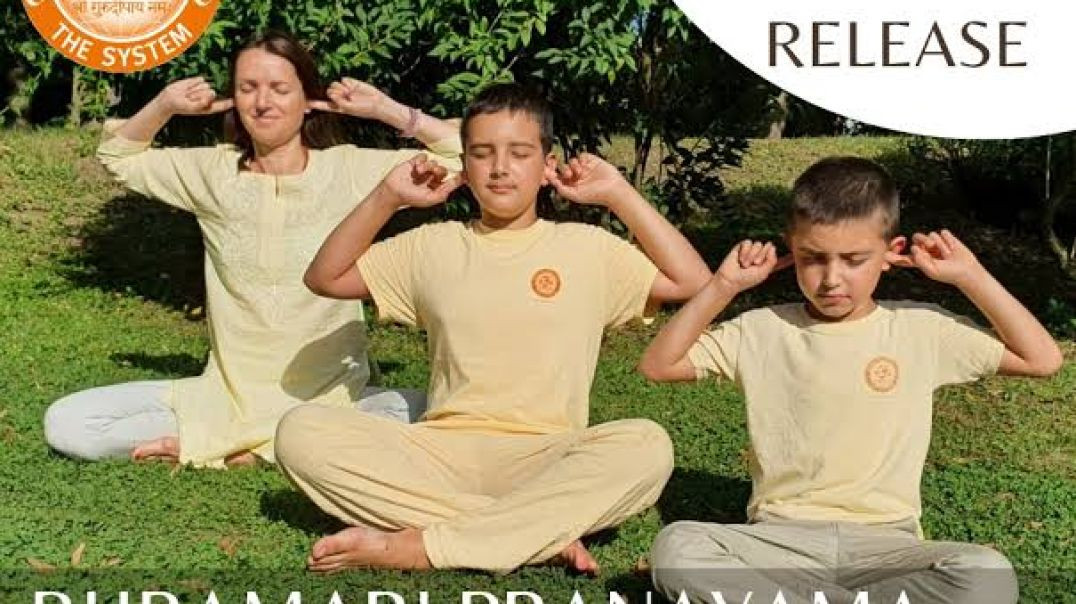 भ्रामरी_प्राणायाम__Bhramri_Pranayam____स्मृतिशक्ति_एवं_बुद्धिशक्तिवर्धक_विशेष_प्राणायाम(360p)