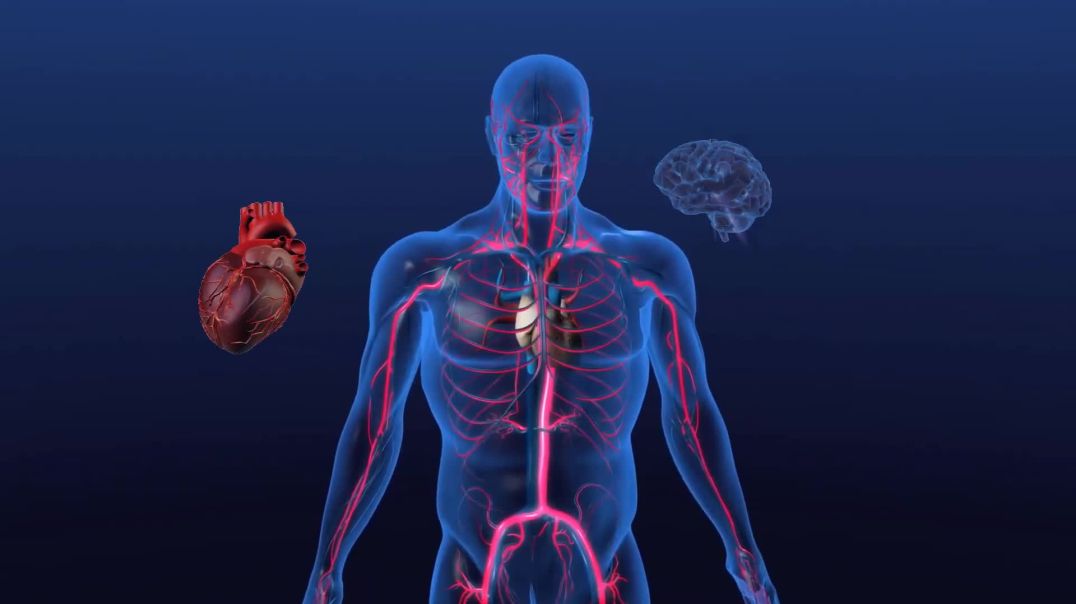 Artificial Heart – The Life Saving Innovation – [Hindi] - Infinity Stream_Full-HD