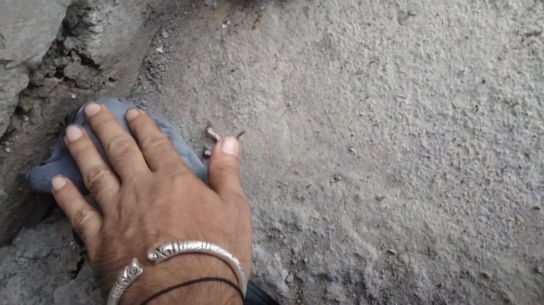 Clips by shoot Camera