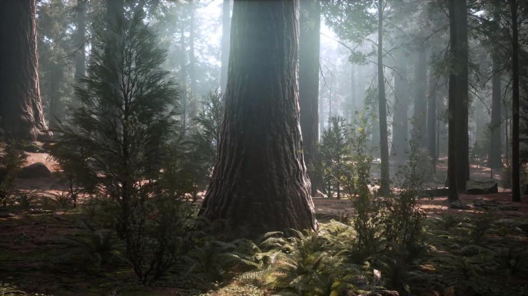 The Microscope – It’s Shows us The Unseen World – [Hindi] – Infinity Stream_Full-HD