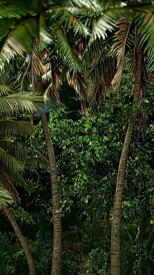 _andrast(1080P_60FPS)