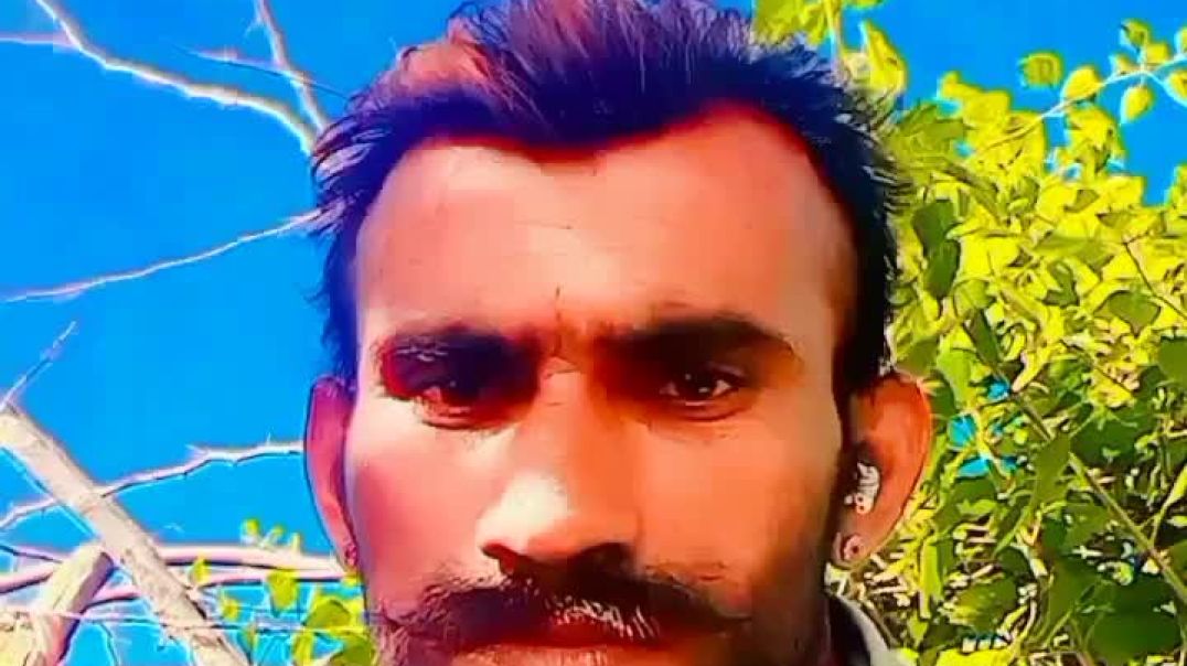 VID_24770904_232645_371