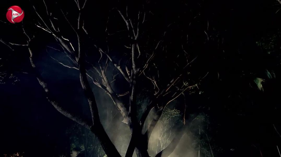 Aahat New Episode _ Horror Show 2025 _ Aahat New Episode 2025 _ डर का असली ए_HD(20)