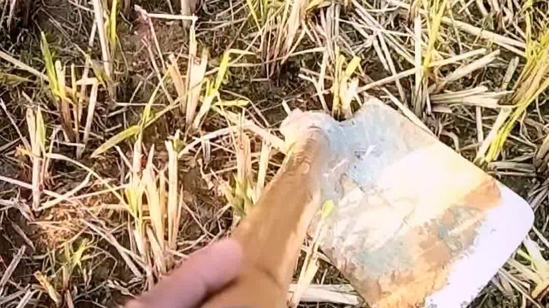 ⁣खेती किसानी जीवन