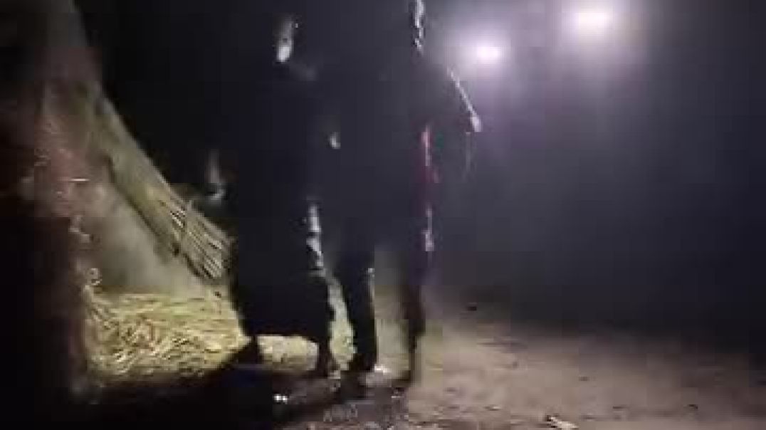 ⁣किडे. ( कॉमेडी का किडा )😂