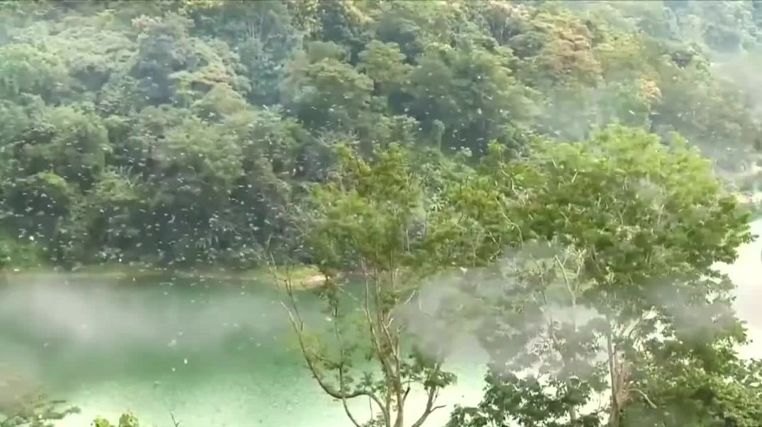 ⁣Ud Aao Ud Aao Yeh Dharati Bula Rahi Hai उड़ आओ उड़ आओ यह धरती बुला रही है_ _KidsSong