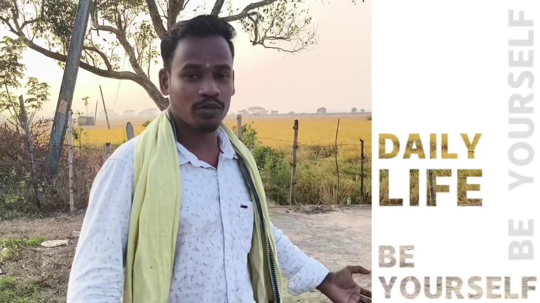 ଆଜି ଆମ ଗାଁ ରେ ହେଲା ଷଣ୍ଢ ଲଢେଇ ର ବିକଟାଳ ଦୃଶ୍ୟ 😱 #odia #vlog