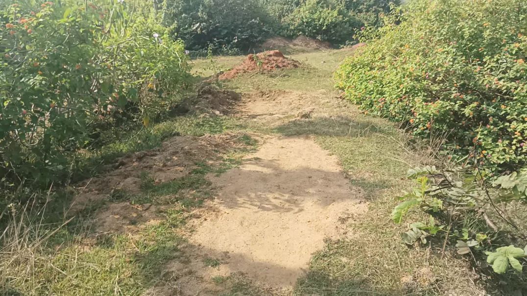 ⁣Atoplay channel rasing star option kese milega 2025