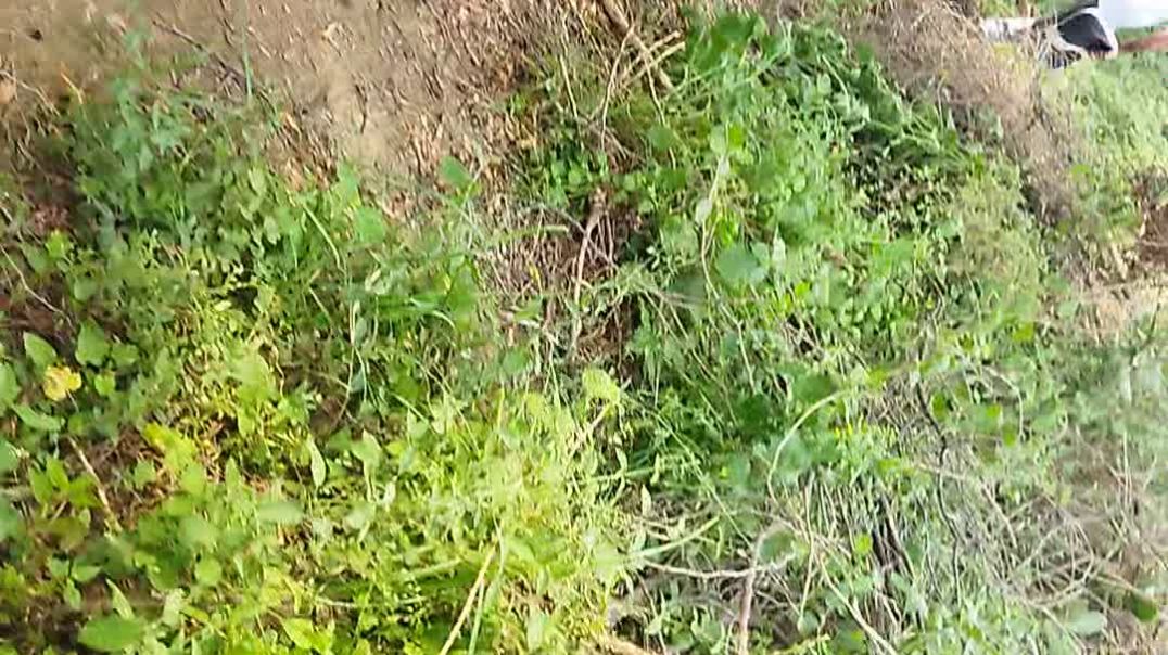 જગદીશ ચાવડા ગયા ખેતર માં | JAGDISH CHAVDA GAYA KHETAR MA | GUJRATI VIDIO | ગુજરાતી વિડિઓ #youtube