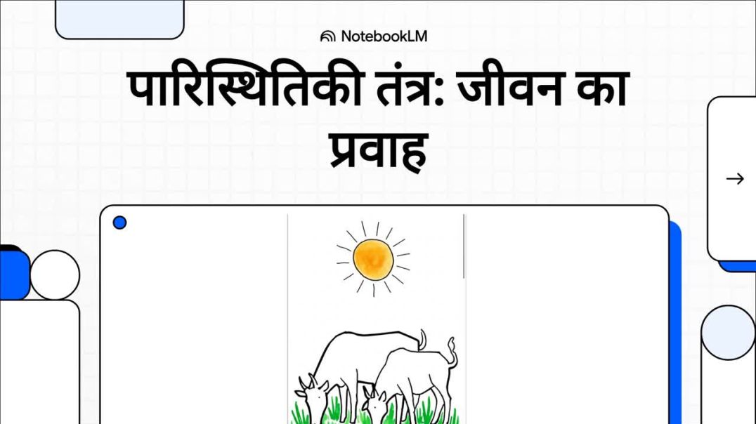 ⁣12th Biology Chapter 12 पारिस्थितिकी_तंत्र__जीवन_का_प्रवाह