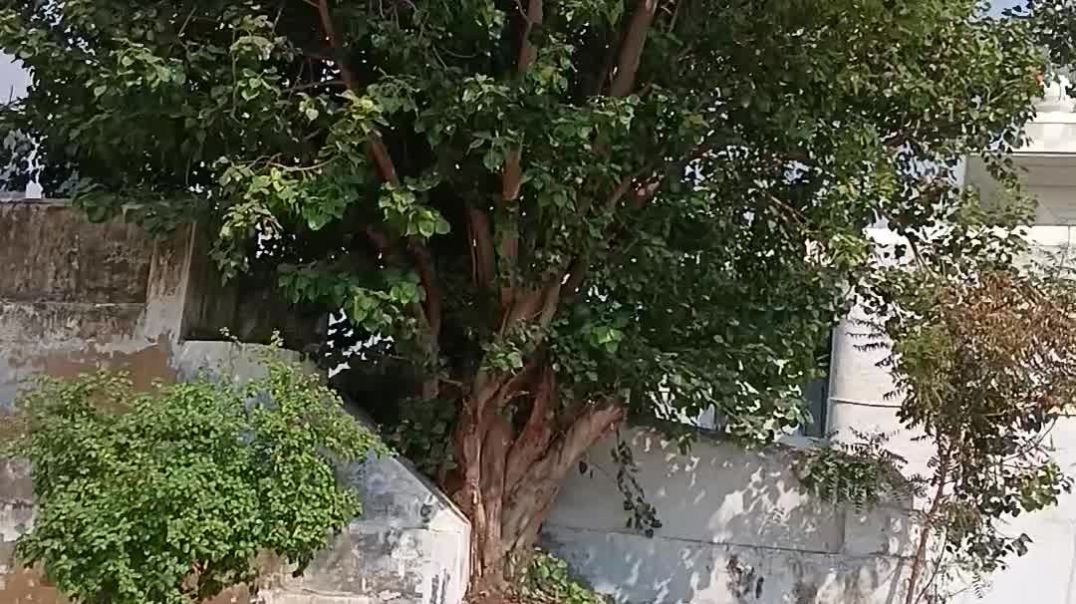 video_20251022_133854