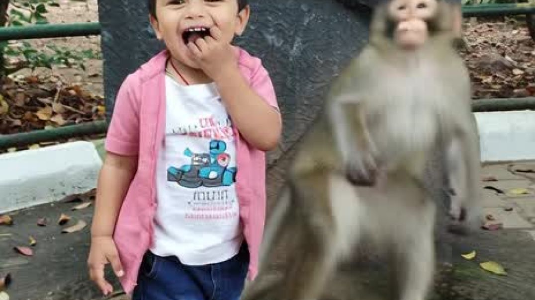 AQPeuikZ4SES-BMQzhG4i6COWl0dRYS9zAjt_vGVJE7e3FhFbPixknUA3DIyZUt0-Epjc8fk14Vd4sC8VIGIvJoQAdjn40rYzxFz