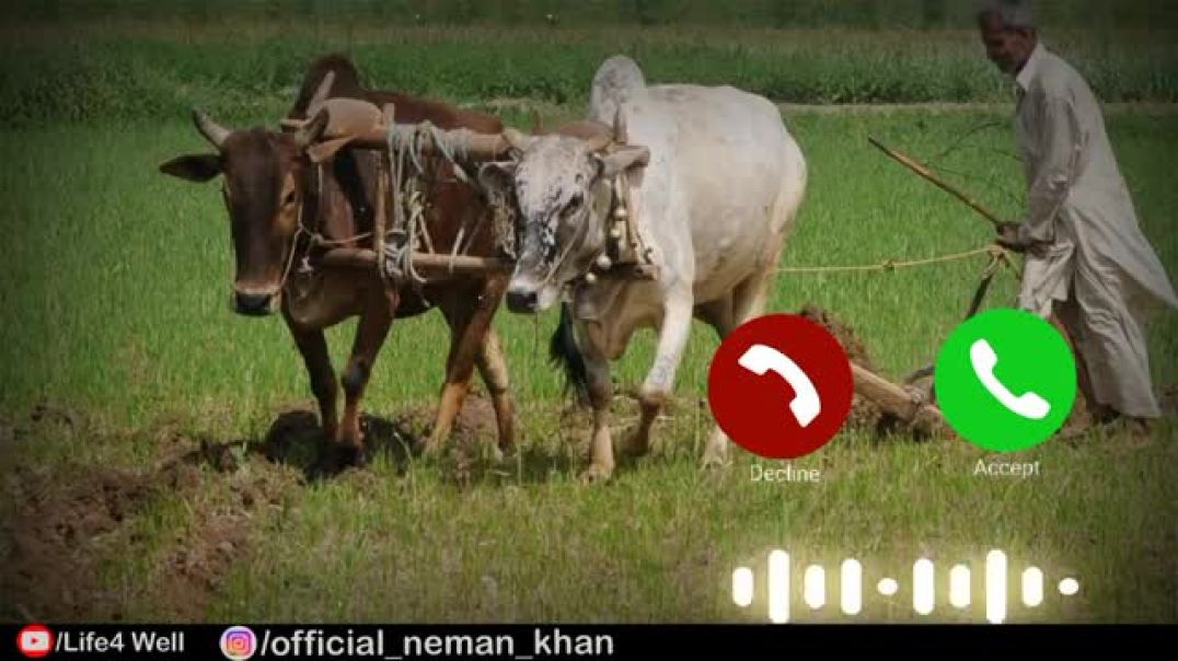 Hal_Chalaye_Tune_Tune_Fasal_Ugayi____Kisan_New_Song____Kisan_Andolan_Song_2021____Life4well____L4W(3