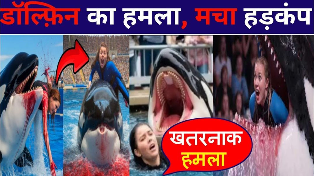 ⁣Jessica_की_जान_पर_बन_आई!🥱Dolphin_का_हमला(720p)