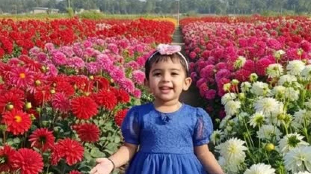 ⁣Beutiful ples beutiful girl video