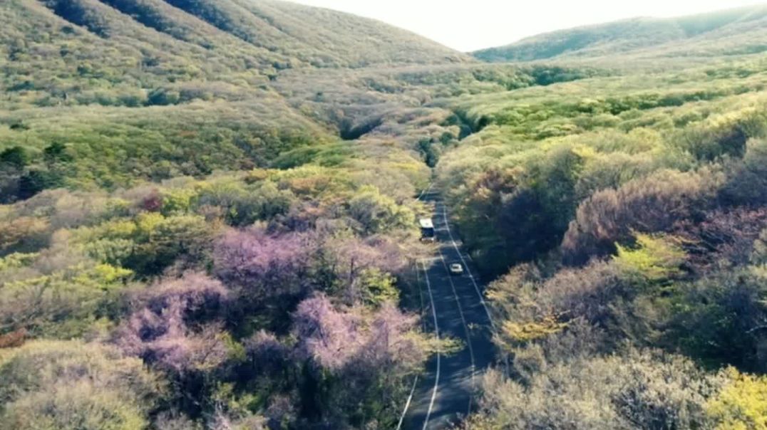 ⁣Hollywood top action movie scene part-2 #viralvideo #trending 🎥🚨