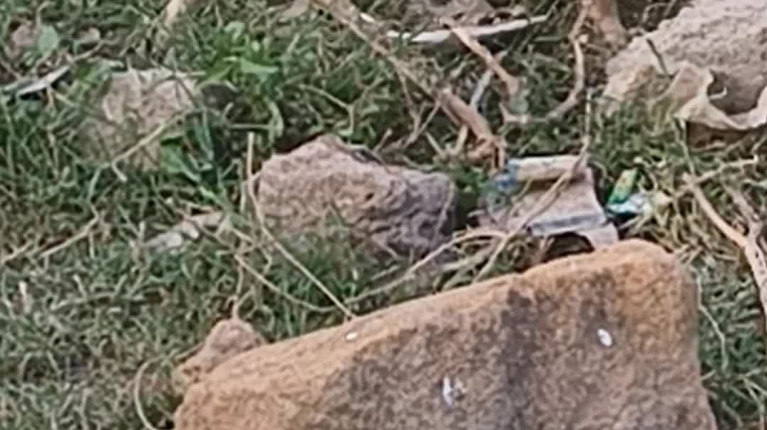 VID_20251020_171445833