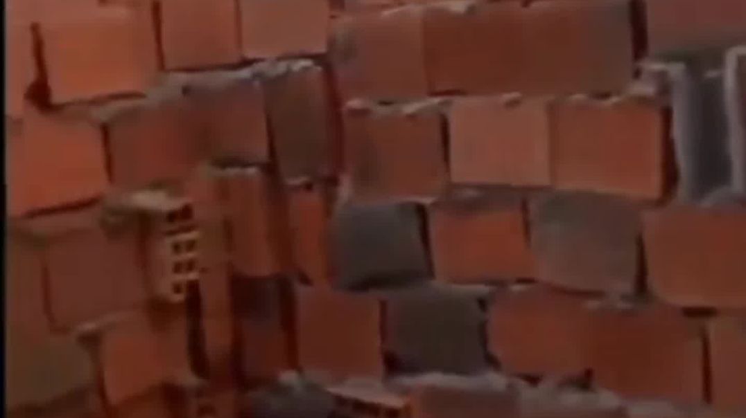 ⁣जब मेरा दोस्त काम करता है