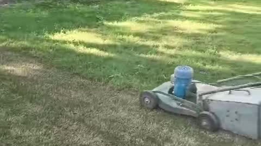 गार्डन कटिंग