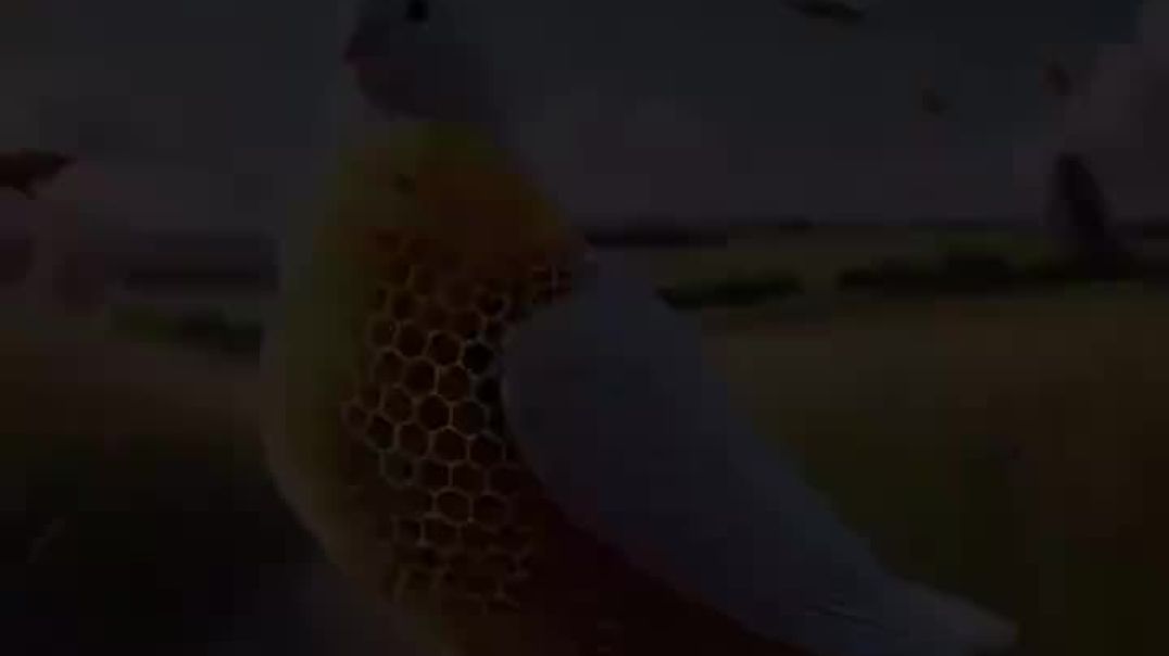 ⁣#viral short video