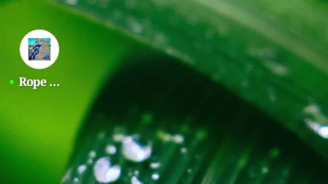 ⁣Apne mobile mein System update kaise karen#mobile#sachinkumarverma