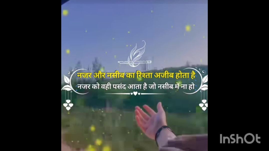 InShot_20251113_195250489