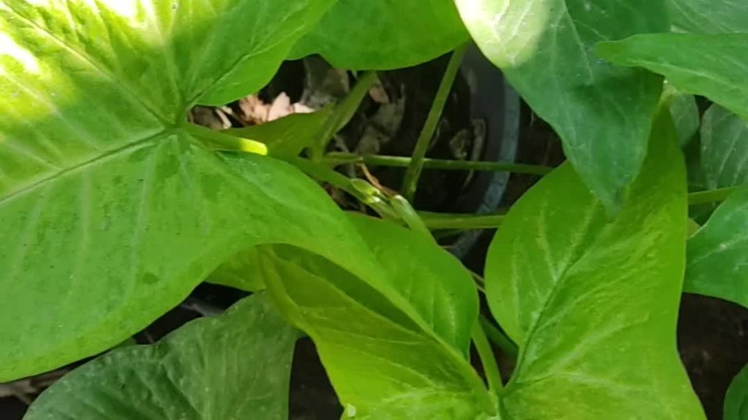 ⁣Good afternoon ❤️