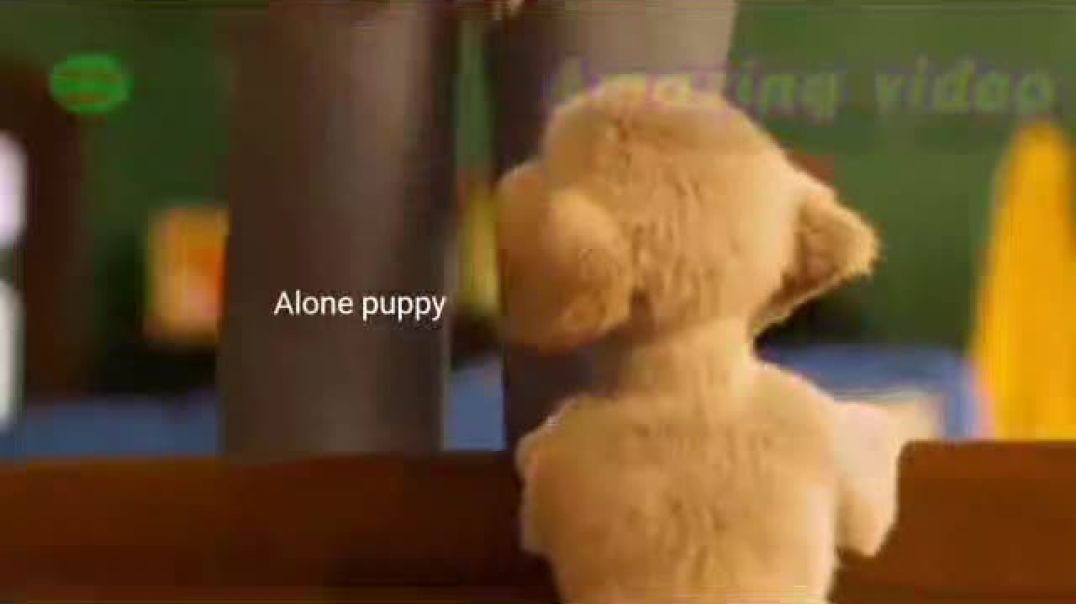 ⁣World's number one cutest puppy