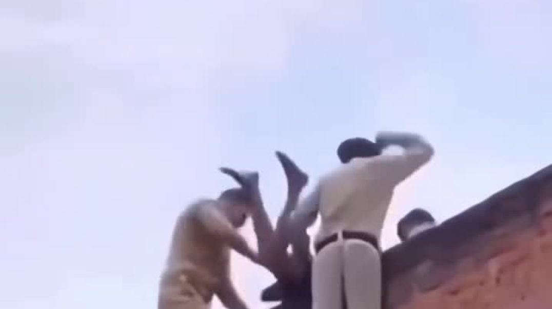 ⁣Funny video compilation