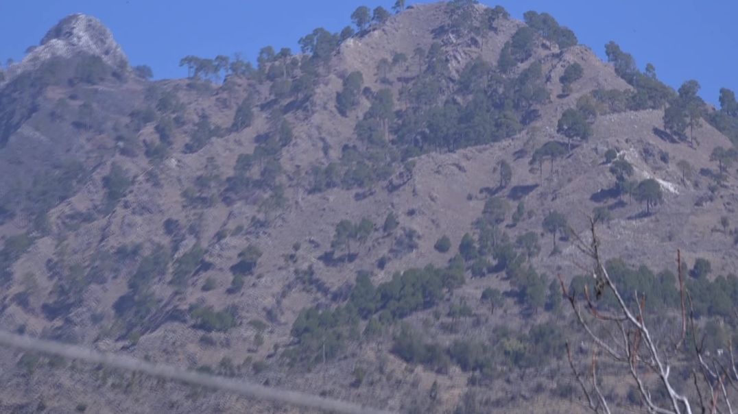 ⁣Sonika Jagdev Marriage full video part2