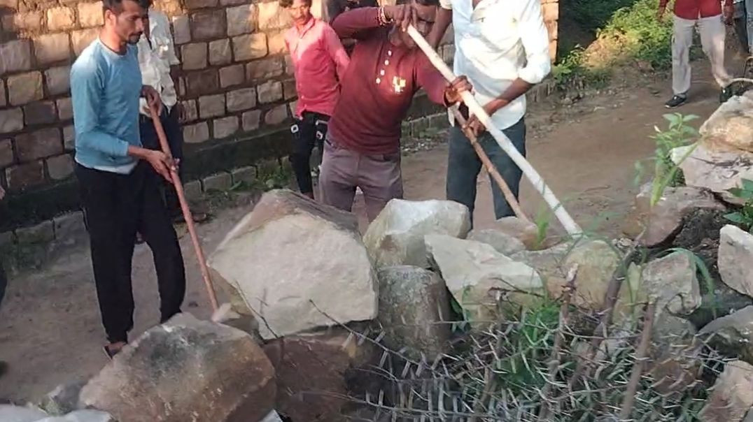 ⁣एक सांप को मारने के लिए 20 लोग