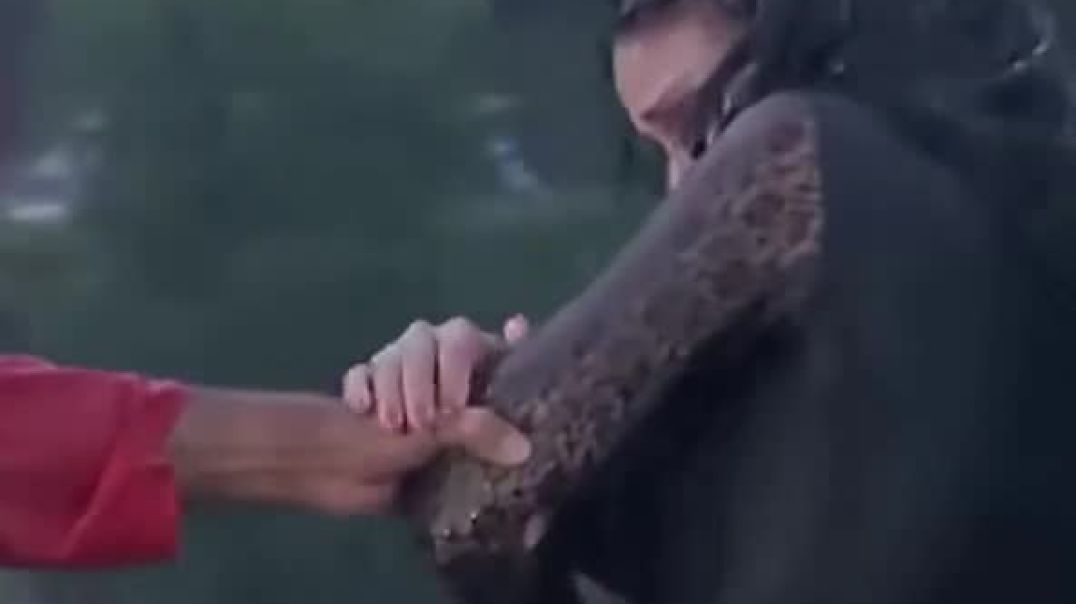 ⁣नाटकीय बॉलीवुड खुलासा: प्रेम की शक्ति से ज़िंदा