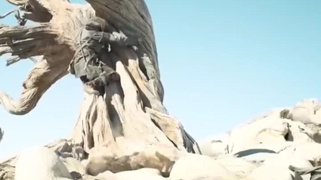 ⁣Alpha ki kahani movie explaining in hindi kumar Dev studio