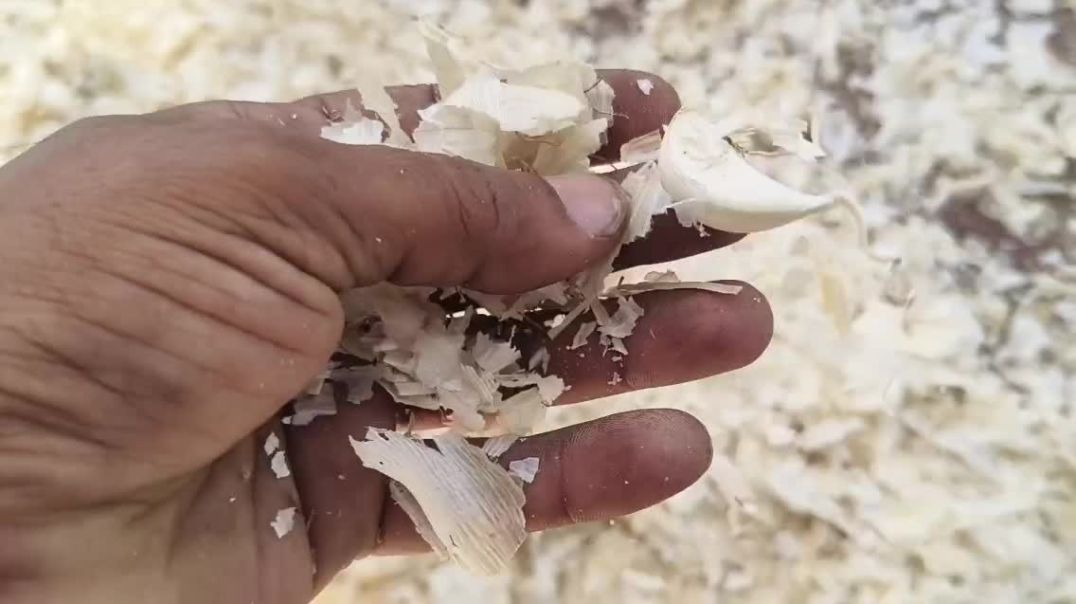 ⁣लहसुन के छिलकों के फायदे