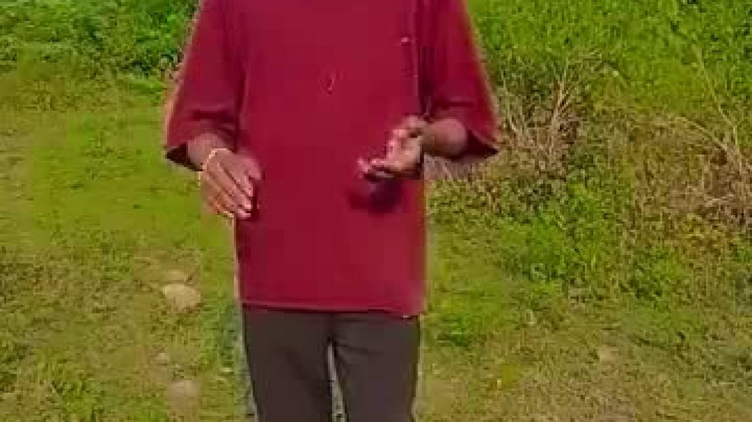 सबसे_पवित्र_वस्तु_मोबाइल_है_🤣🤣🤪🤣