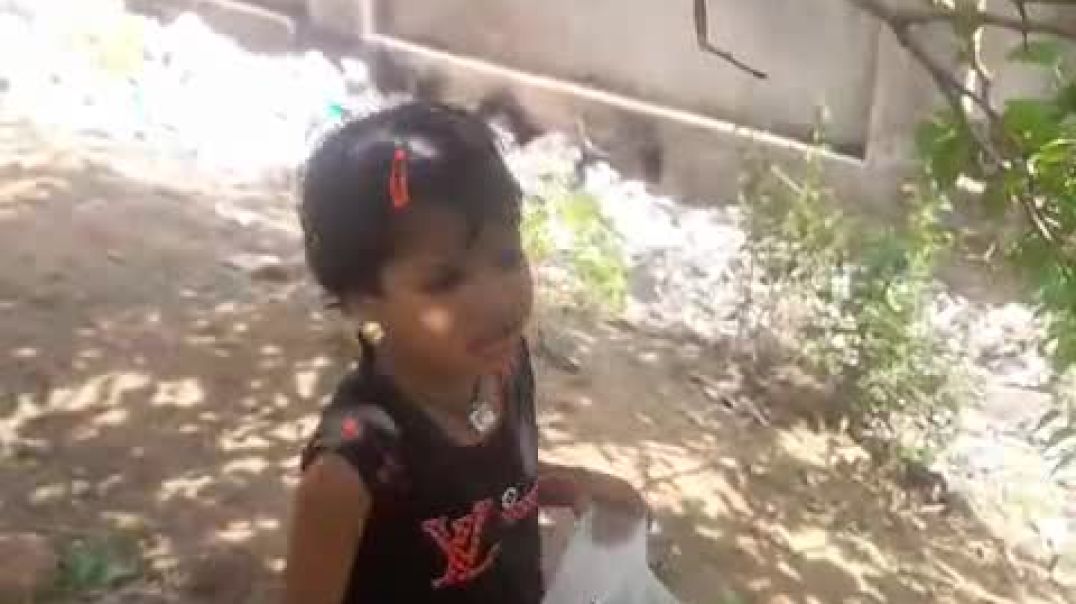 ताजे फल पेड़ों से तोड़ते हुए 🥰🥰🥰