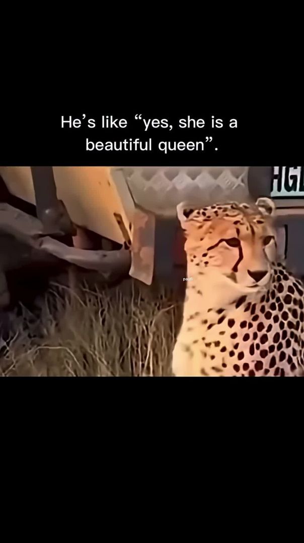 Supportive Hubby(1080P_HD)