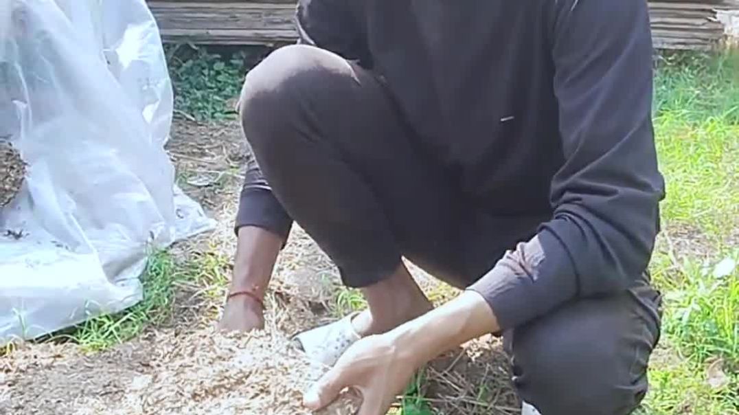 ⁣Nitish verma comedy video #comedy #viral #tranding