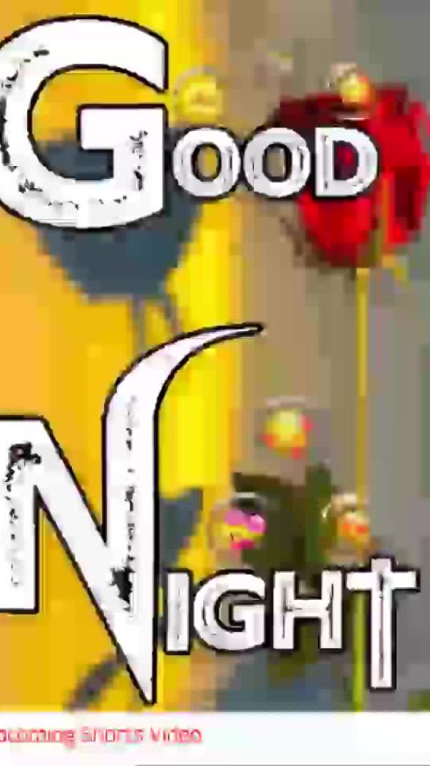 Good Night 🎉🎉 #viralshorts