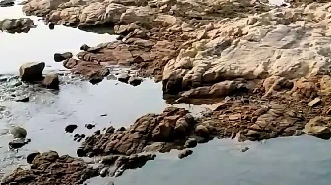 Prakriti ek Shakti hai