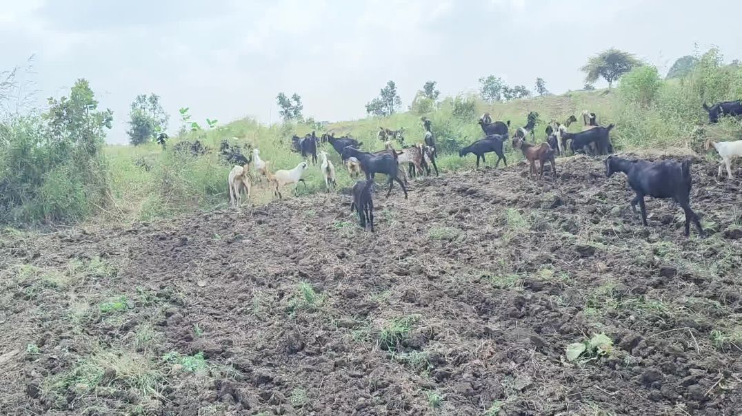 video_20251016_124158