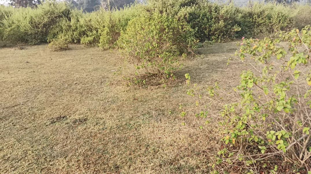 ⁣Creator की गलती से channel monetize नही होता 2025