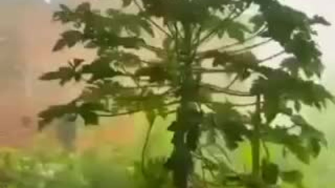 ⁣गांव में ठंड का मौसम