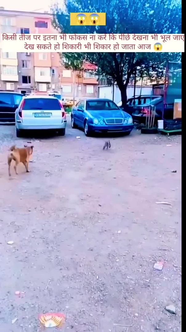 आज तो शिकारी भी शिकार हो जाता😱 _youtube _viral _shortvideo(720P_HD)