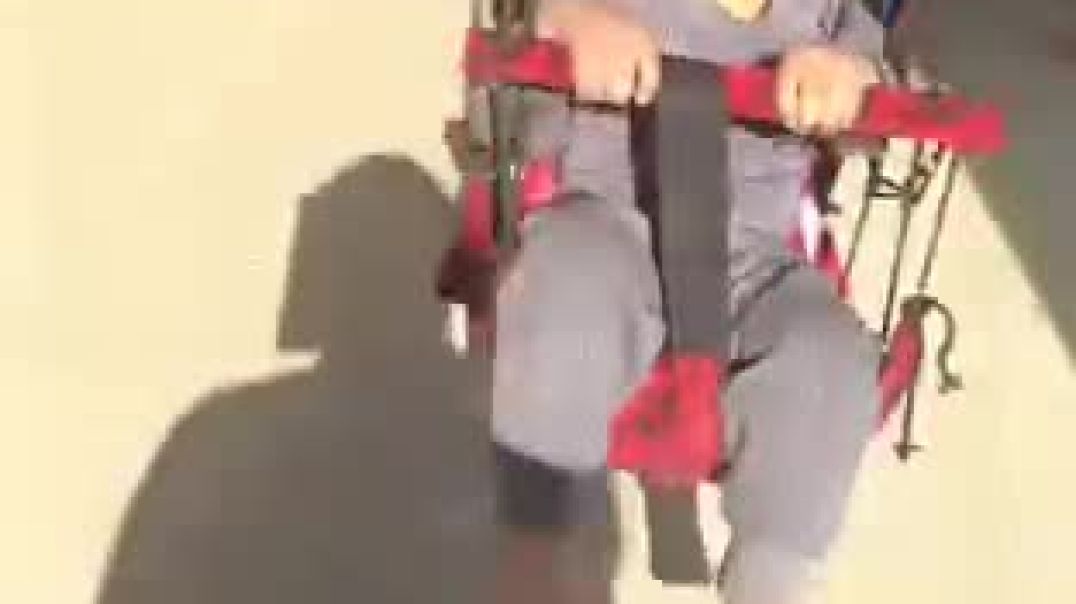 # सावन के झूलों